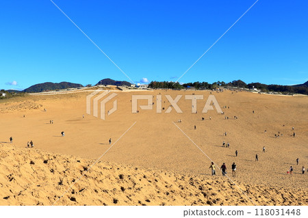 Tottori Sand Dunes: Beautiful sandy scenery (Tottori) 118031448