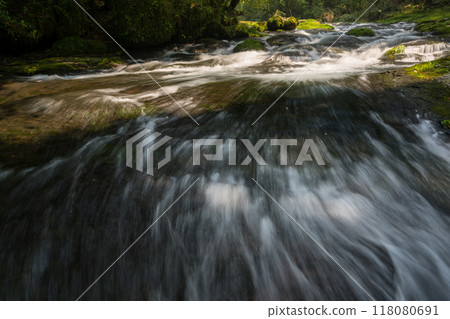 冬季菊池溪谷美麗的山谷風景和美麗的流水 118080691