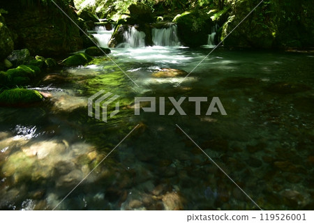 岩屋川，高知縣仁淀川町仁淀川的支流，美麗的水流在春光下的山間溪流中。 119526001