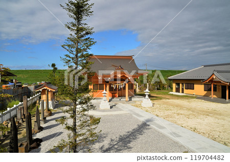 Beautiful Haruko Shrine, Shimonakajo, Gyoda City, Saitama Prefecture 119704482