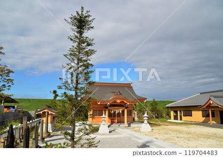 Beautiful Haruko Shrine, Shimonakajo, Gyoda City, Saitama Prefecture 119704483