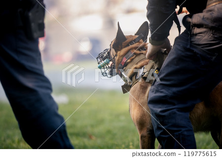 Police patrol with dog 119775615