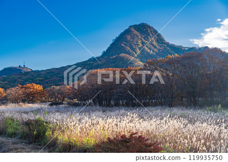 [Gunma Prefecture] Autumn scenery of Mt. Haruna and Numahara in the early morning 119935750