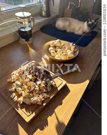 Kitchen scene with sunlight streaming through window, featuring freshly chopped mushrooms and a siamese cat resting on counter. Atmosphere captures the essence of cozy and relaxing home cooking. 119001814