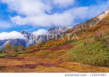 Autumn leaves of Tsugaike Nature Park 119247967