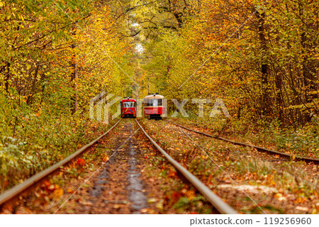 Autumn forest through which an old tram rides (Ukraine) 119256960