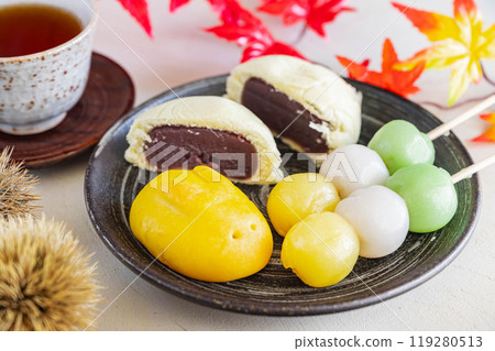 Assortment of Japanese sweets for moon viewing 119280513