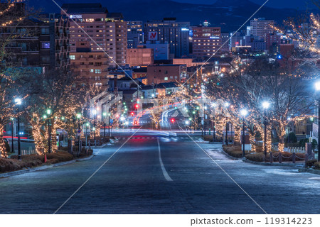 北海道函館市二十間坂的夜景 119314223