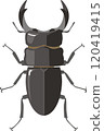 Illustration of a stag beetle seen from directly above 120419415