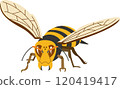 Hornet image illustration 120419417