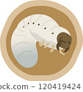 Illustration of a larva in the soil 120419424