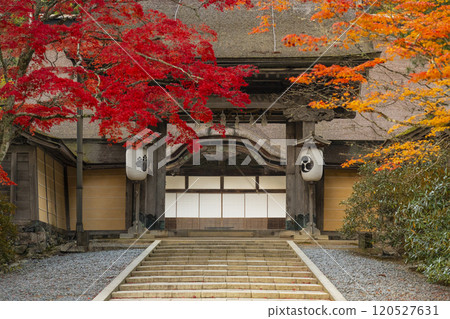 Koyasan Kongobu-ji Temple: main gate surrounded by autumn leaves 120527631