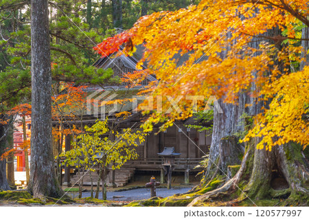 Mount Koya: Danjo Garan, Sanno-in Temple surrounded by autumn leaves 120577997