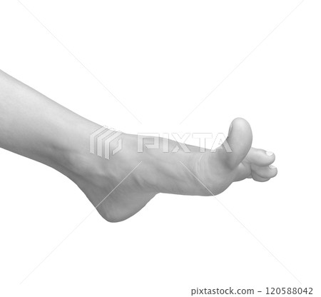 Barefoot woman in side view. Relaxed pose showing big toe and flexible anatomy, soft skin, and neat 120588042