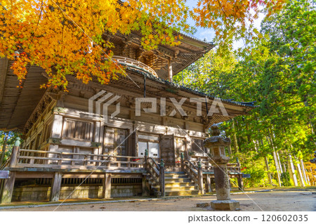 Mount Koya: Danjo Garan, West Pagoda surrounded by autumn leaves 120602035