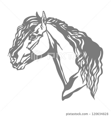 Horse illustration stencil template vector illustration 120634828