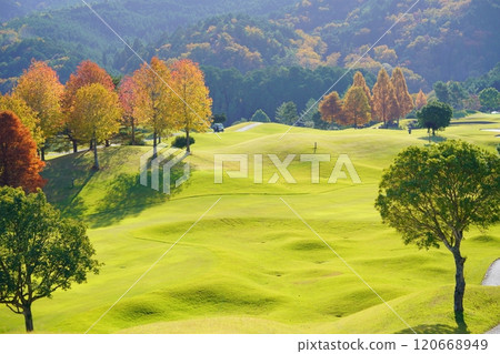 Fairy-tale-like autumn foliage on the fairway 6 120668949