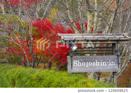 Shojoshin-in Temple, a special head temple of the Koyasan Shingon sect, surrounded by autumn leaves 120689625