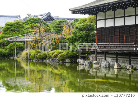 平安神宮（11月）東神園 120777210