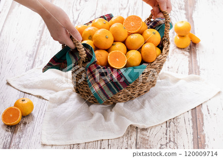 A basket full of fresh tangerines 120009714