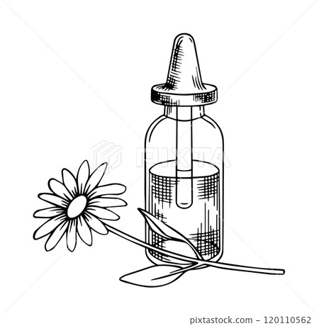 jar with aromatic chamomile oil, cosmetics. vector illustration in sketch style. 120110562