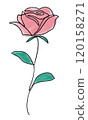 A single-stroke illustration of a rose 120158271