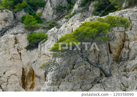 Marseille, France - June 9, 2024 : Calanque of En-Vau on the Coast of Provence, between Cassis and 120356090