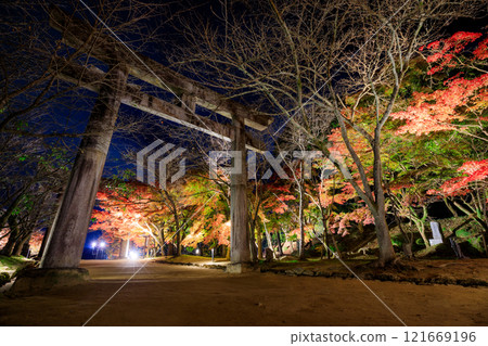 Illuminated autumn at Homangu Kamado Shrine, Dazaifu City, Fukuoka Prefecture 121669196