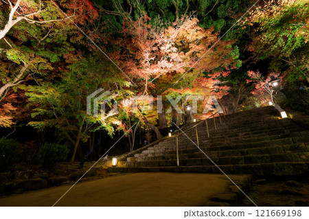 Illuminated autumn at Homangu Kamado Shrine, Dazaifu City, Fukuoka Prefecture 121669198