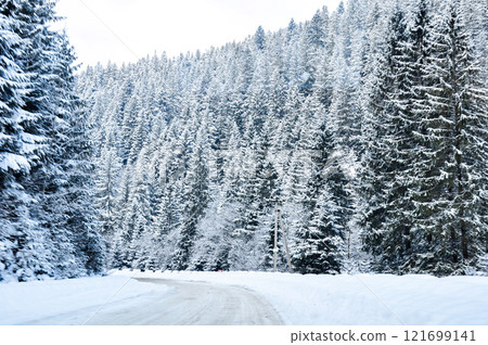 An empty road through a snow-covered spruce forest. The concept of winter travel. 121699141