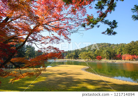 Autumn in the Pure Land Garden of Motsuji Temple, Oizumigaike, Suhama, Iwate Prefecture 121714894