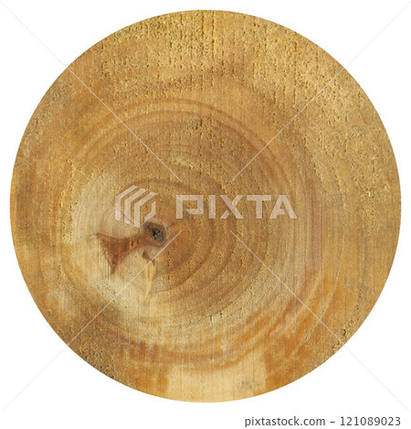 Hornbeam wood, can be used as background, wood grain texture 121089023