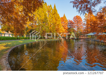 神宮東公園、紅葉水杉（愛知縣名古屋市） 121267787