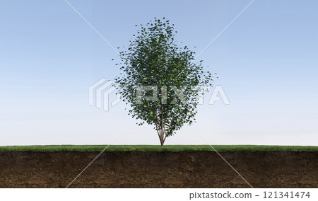 tree on the grass and a slice of soil under it, 3d render 121341474