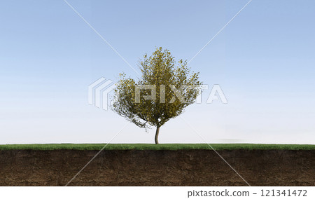 tree on the grass and a slice of soil under it, 3d render 121341472