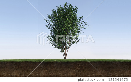 tree on the grass and a slice of soil under it, 3d render 121341473