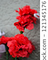 Red carnation flowers 121345176