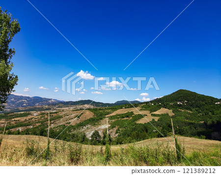 landscape with mountains and trees 121389212