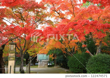 耕三寺 紅葉 122474571