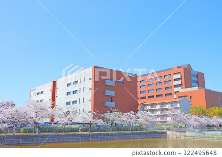 Nagoya City, Aichi Prefecture, Nagoya Gakuin University and cherry blossoms in full bloom 122495648