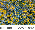 A breathtaking aerial view captures a winter forest with a vibrant mix of evergreen trees and patches of bright yellow foliage. Snow blankets the ground, creating a serene atmosphere. 122571052