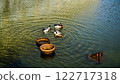 Ducks swimming in a quiet pond 122717318