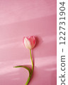 Pink tulip flowers blooming on a pink background 122731904