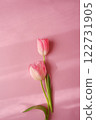 Pink tulip flowers blooming on a pink background 122731905