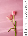 Pink tulip flowers blooming on a pink background 122731906