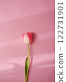 Pink tulip flowers blooming on a pink background 122731901