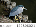 A five-legged heron at Mukojima Hyakkaen 122808021