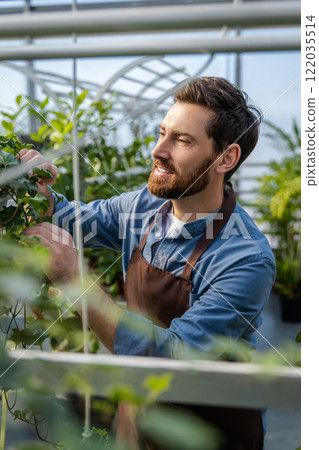 Male bearded greenhouse worker looking involved and busy 122035514