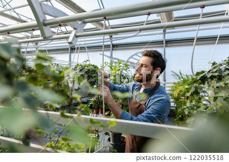 Young bearded man working with plants in a greenhouse 122035518