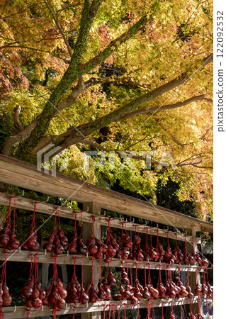 Dazaifu Tenmanguugu in autumn 122092532